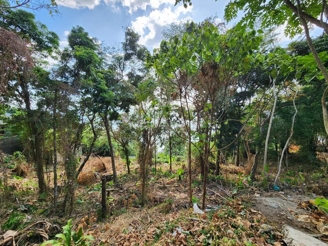  Exclusive seaview Land for sale beside Paresa Resort 4